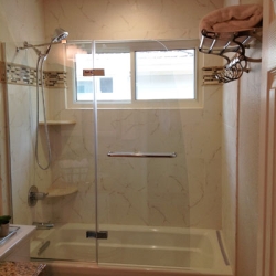 glass-showerdoor-guest-bathroom-81c775411cb54b8363fbefa43aeef5ae Guest Bathroom Remodel (Parker, CO)