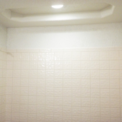 guest-bathroom-remodel-B-23cab71038f436e0df8afb45cfbe773a Guest Bath Remodel (Parker CO)