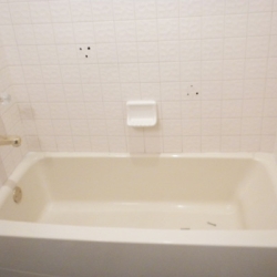 parker-bathtub-B-155d9f36c375ced3cf74e2df1940de15 Guest Bath Remodel (Parker CO)