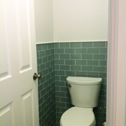 water-closet-tiled-wall-431dce5121943c38f43973e8ca096c76 Master Bath Remodel (Greenwood Village)